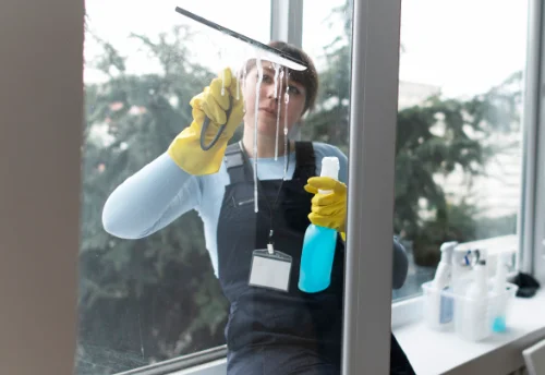 Nettoyage de vitres intérieures et extérieures à Besset